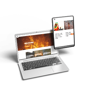 WWF-Brasil: plataforma de captação