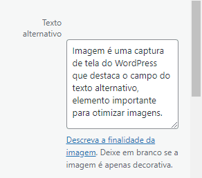 Imagem é uma captura de tela do WordPress que destaca o campo do texto alternativo, elemento importante para otimizar imagens.